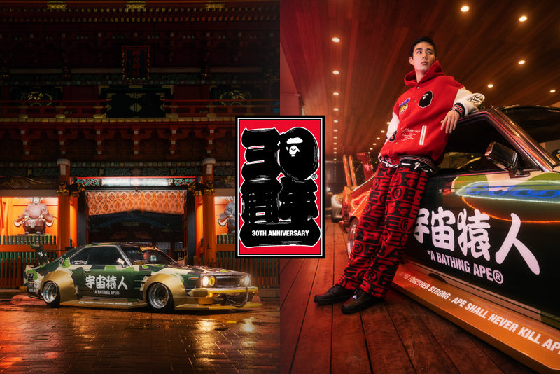 BOSOZOKU MODEL CAR