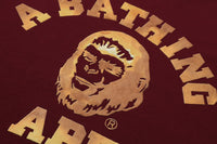 BAPE COLLEGE GRAPHIC TEE