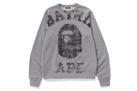 BIG COLLEGE CREWNECK