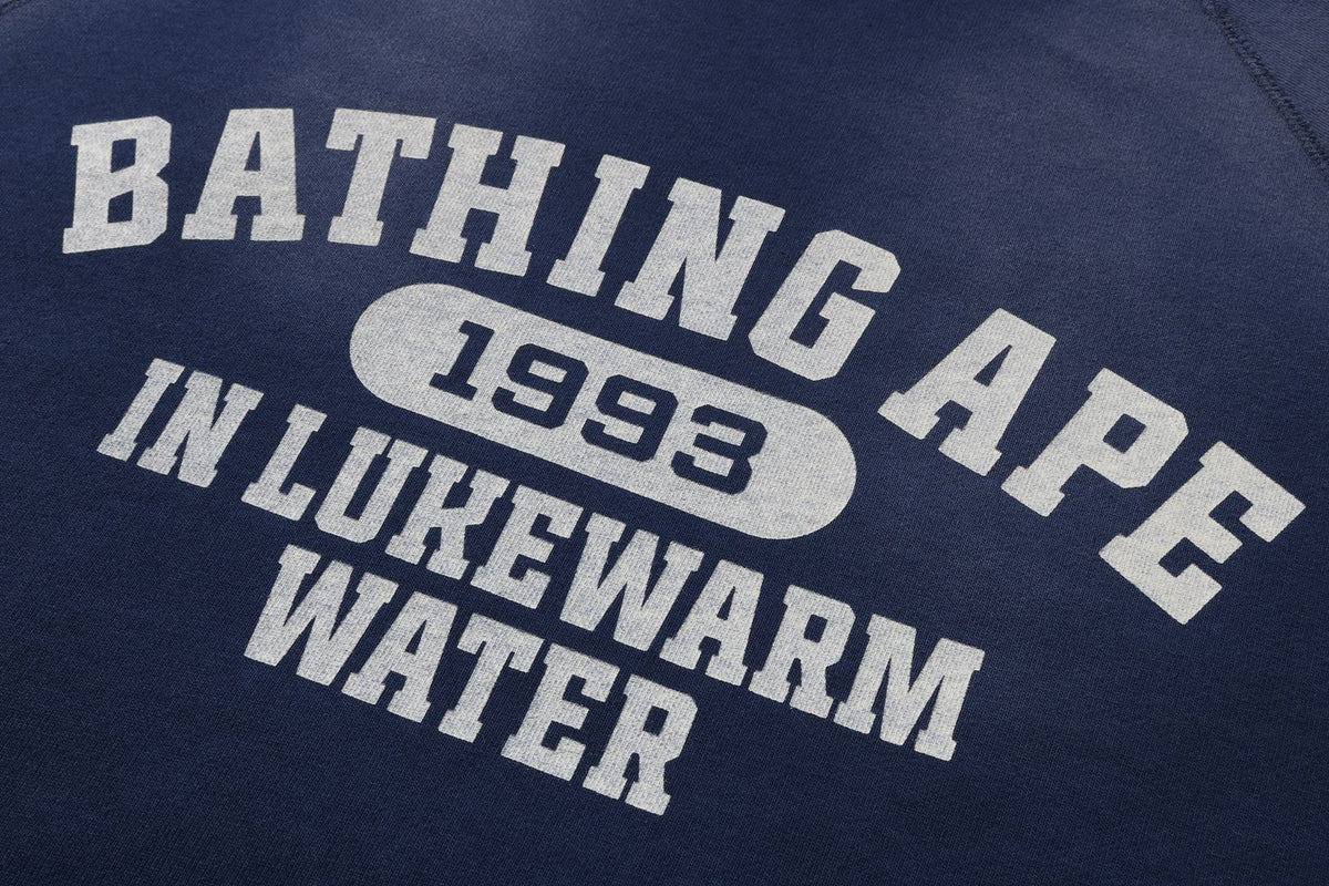 DESTROY WASHED EFFECT RELAXED FIT CREWNECK SWEATSHIRT
