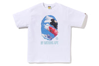 CARP PHOTO BY BATHING APE
