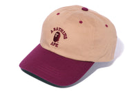 COLLEGE PANEL CAP