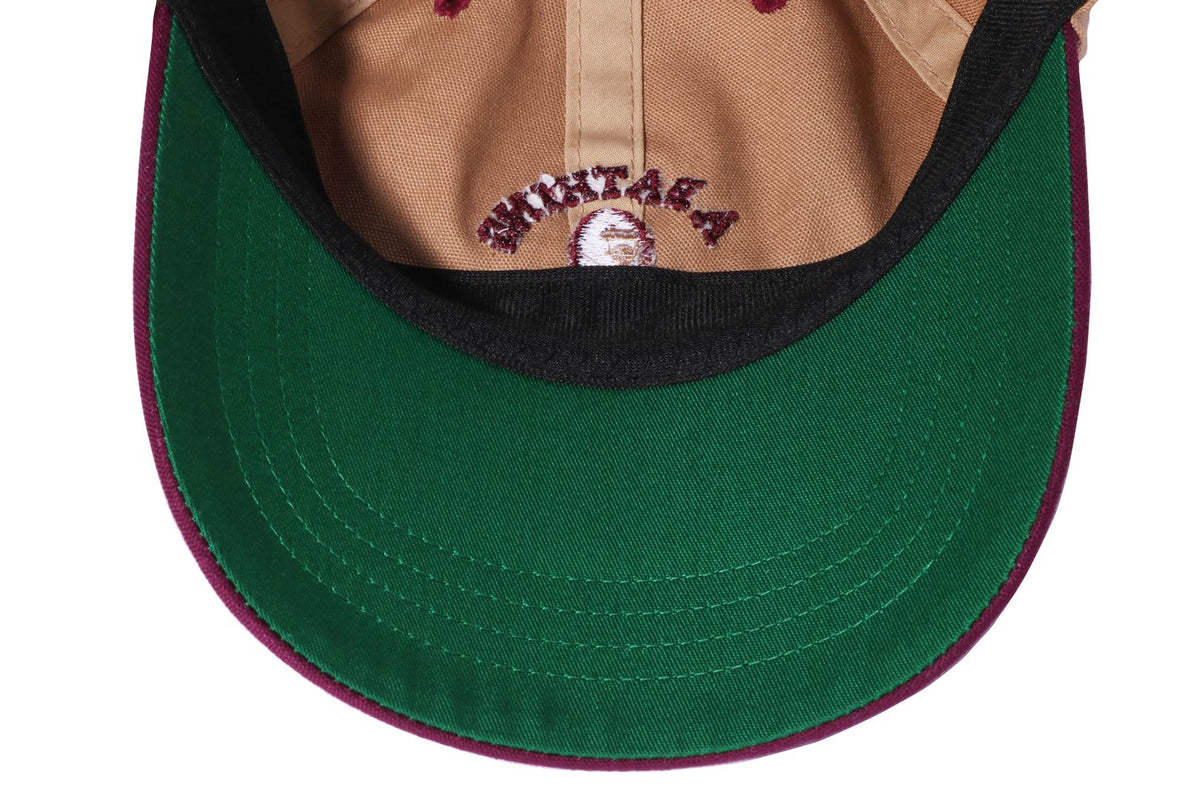 COLLEGE PANEL CAP