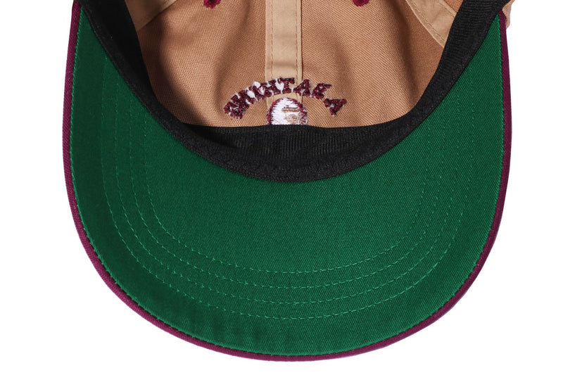 COLLEGE PANEL CAP