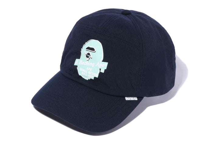 A BATHING APE PANEL CAP