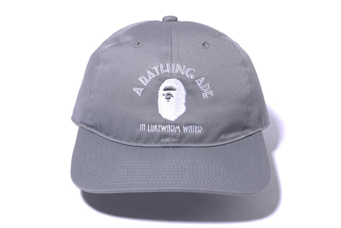 A BATHING APE PANEL CAP